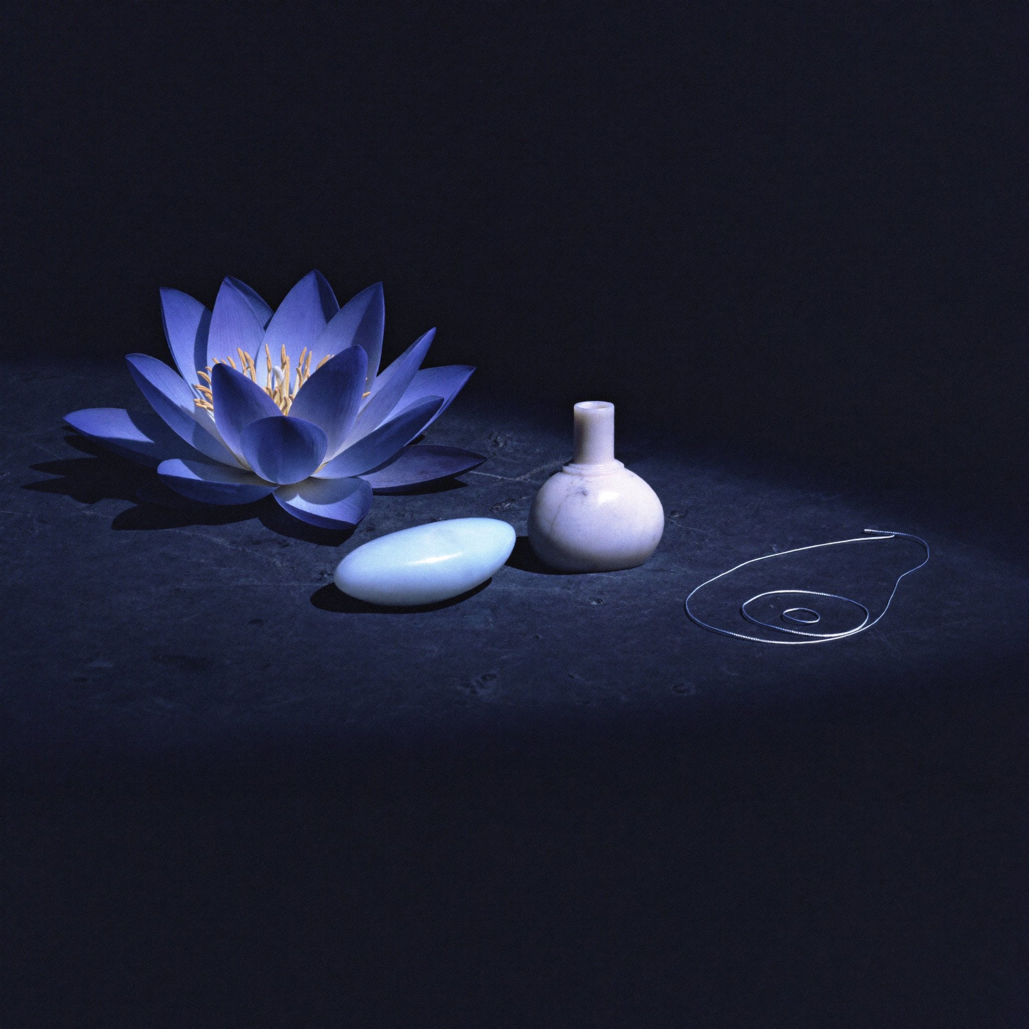 The Ancestral Dream Contact